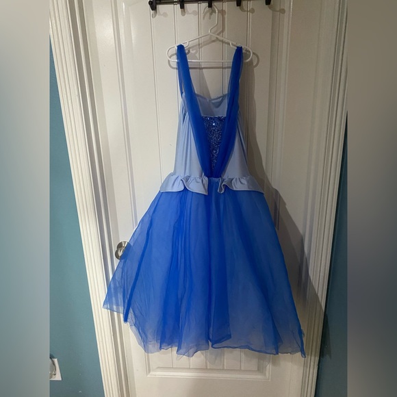 Cinderella costume - Picture 2 of 5